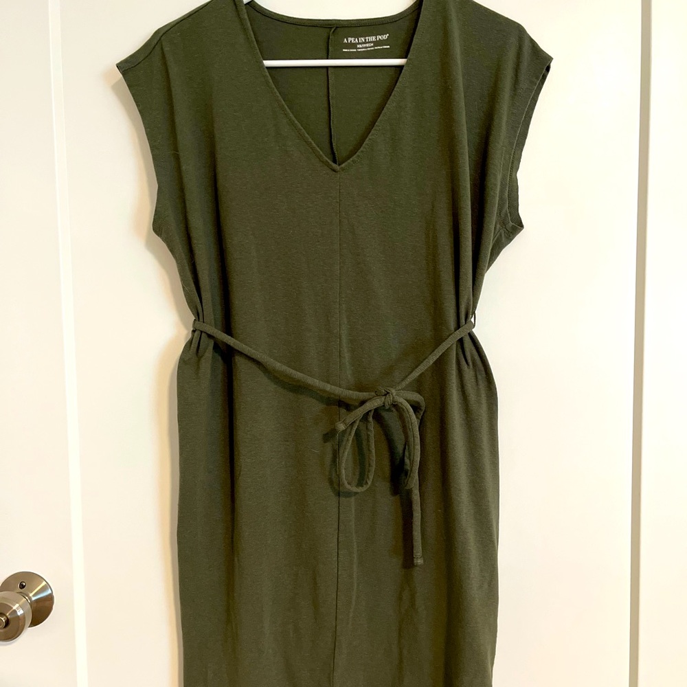 A Pea In the Pod Maternity Dress